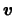 $ \boldsymbol{\ensuremath{v}} $