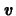 $ \boldsymbol{\mathit{v}} $