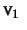 $ \mathprm{v}_1  $