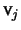 $ \mathprm{v}_j $
