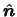 $ \hat{\boldsymbol{n}} $