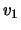 $ \ensuremath{v}_1 $